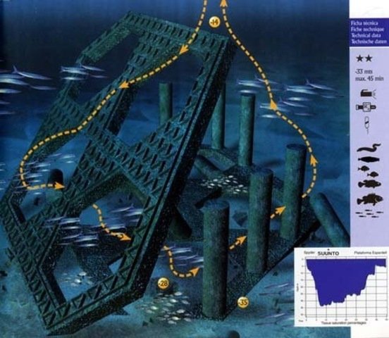 Punta Dive - Dive Center in Spain