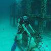 Picture taken during the dive