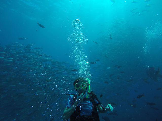 Cabo Pulmo Beach Resort - Dive Center in Mexico