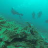 Picture taken during the dive
