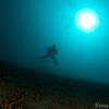 Picture taken during the dive