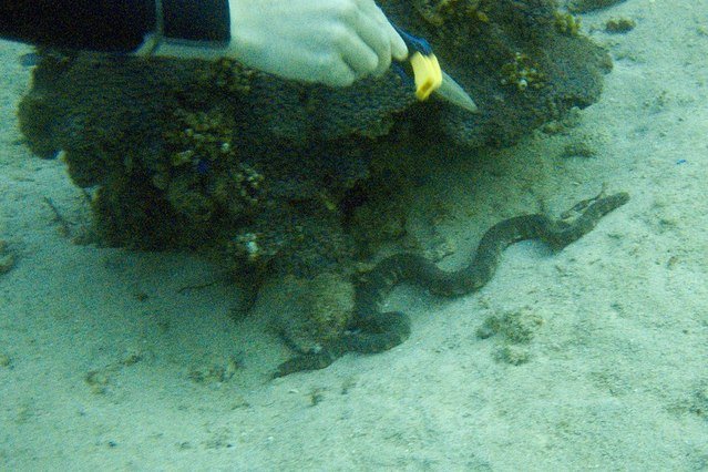 Frontier Scuba Center - Dive Center in United States