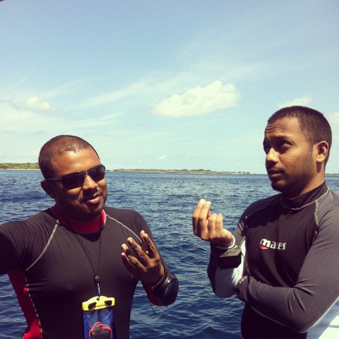 Maldivers Diving Center - Dive Center in United States