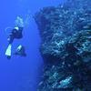 Picture taken during the dive