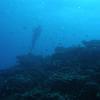 Picture taken during the dive