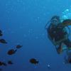 Picture taken during the dive