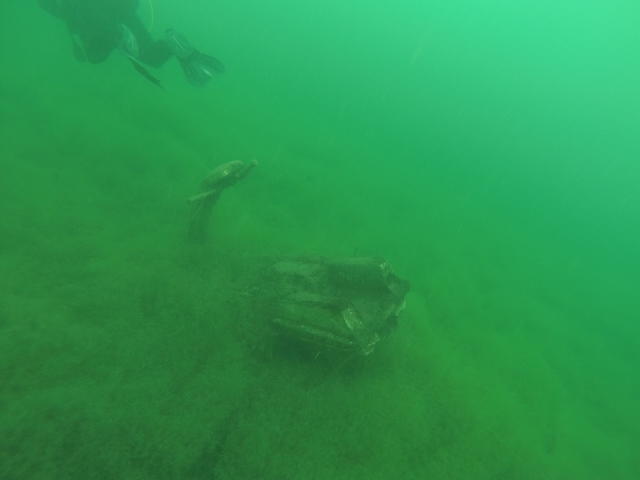 Scuba Unlimited - Dive Center in United States