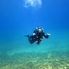Picture taken during the dive