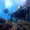 Picture taken during the dive