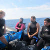 Picture taken during the dive
