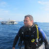 Picture taken during the dive