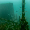 Picture taken during the dive