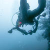 Picture taken during the dive