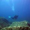 Picture taken during the dive