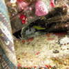 Picture taken during the dive