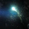 Picture taken during the dive