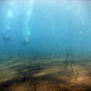Picture taken during the dive