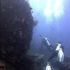 Picture taken during the dive