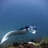 Picture taken during the dive