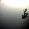 Picture taken during the dive