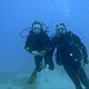 Picture taken during the dive