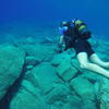 Picture taken during the dive