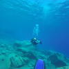 Picture taken during the dive
