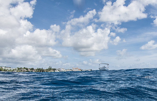 Eco Dive Barbados - Dive Center in Barbados