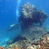Picture taken during the dive