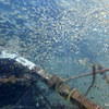 Picture taken during the dive