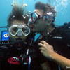 Picture taken during the dive