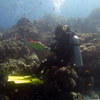 Picture taken during the dive