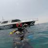 Picture taken during the dive