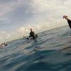Picture taken during the dive