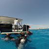 Picture taken during the dive
