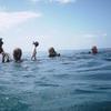 Picture taken during the dive