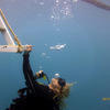 Picture taken during the dive