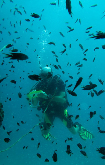 Montalay Beach Resort - Dive Center