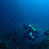Picture taken during the dive