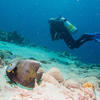 Picture taken during the dive