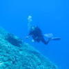 Picture taken during the dive