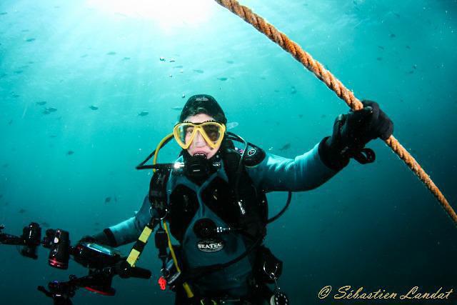 Forster Dive Centre - Dive Center in Australia