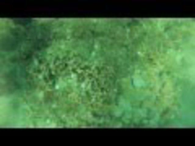 Antonio Dugartea - Dive Center in 委内瑞拉