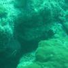 Picture taken during the dive
