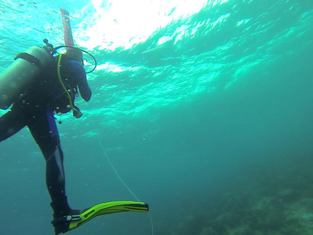 DiveVersity Blue Bay - Dive Center