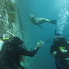 Picture taken during the dive