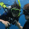 Picture taken during the dive