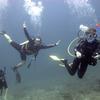 Picture taken during the dive