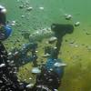 Picture taken during the dive
