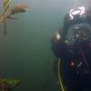 Picture taken during the dive